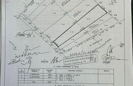 Teren intravilan 2.935 m, extravilan 3.515 mp, strada Tarla
