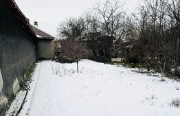 Refugiu la țară: casă tradițională , teren generos, și intimitate  Costesti Deal