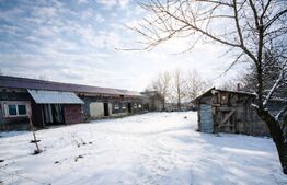 Refugiu la țară: casă tradițională , teren generos, și intimitate  Costesti Deal