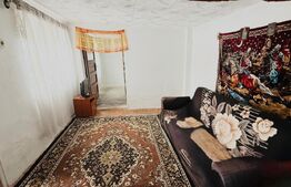 Refugiu la țară: casă tradițională , teren generos, și intimitate  Costesti Deal