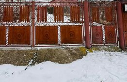 Refugiu la țară: casă tradițională , teren generos, și intimitate  Costesti Deal