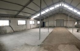 Hală Industrială, 175 mp, zona Exterior Sud