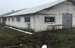 Hală Industrială, 175 mp, zona Exterior Sud