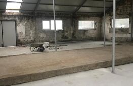 Hală Industrială, 175 mp, zona Exterior Sud