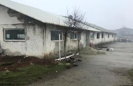 Hală Industrială, 175 mp, zona Exterior Sud