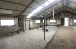 Hală Industrială, 175 mp, zona Exterior Sud