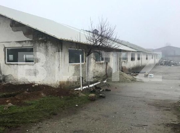 Spațiu industrial de închiriat Exterior Sud - 185751SII | BLITZ Târgoviște | Poza9