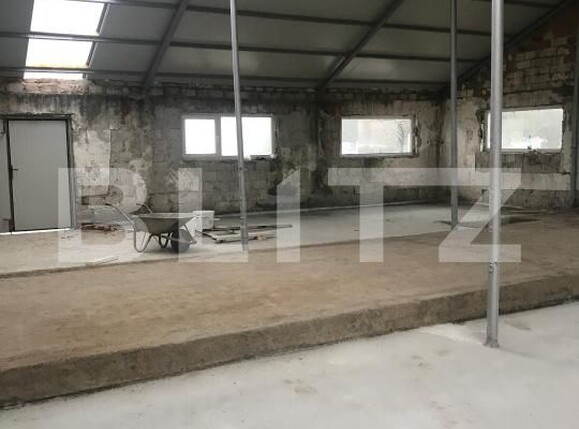 Spațiu industrial de închiriat Sud - 185751SII | BLITZ Târgoviște | Poza6