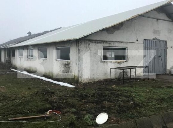 Spațiu industrial de închiriat Sud - 185751SII | BLITZ Târgoviște | Poza8