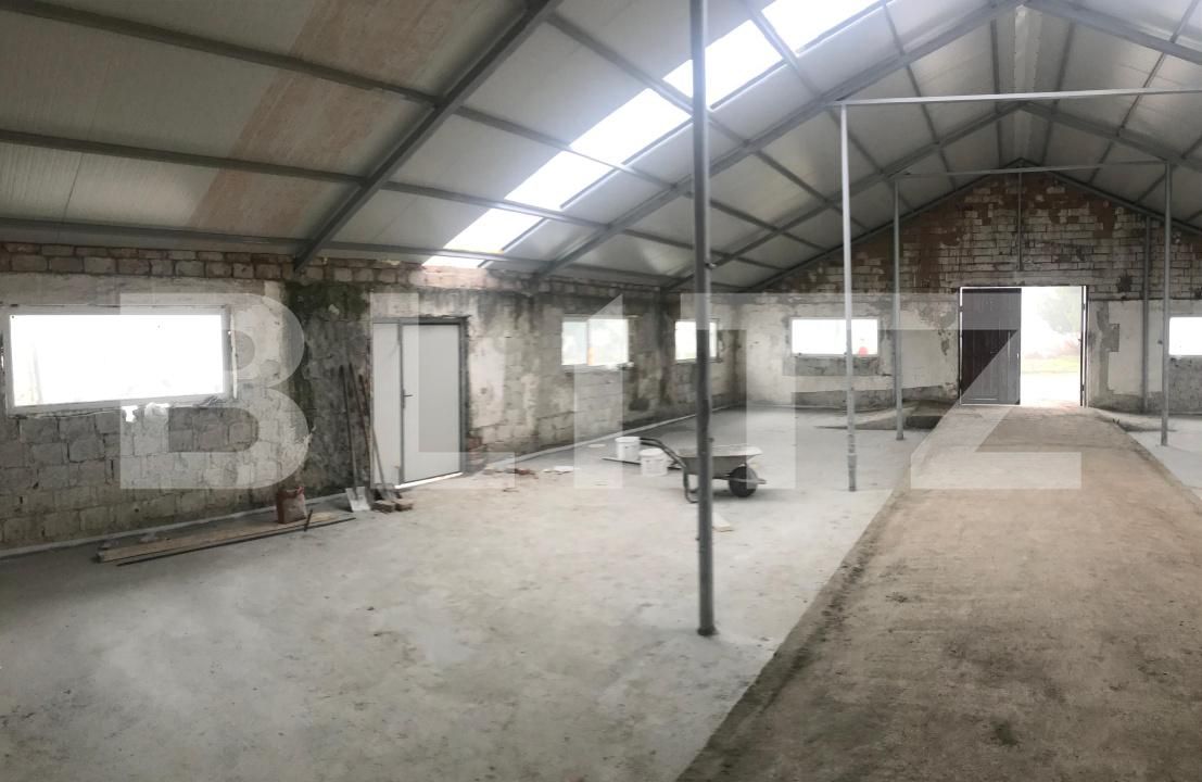 Spațiu industrial de închiriat Sud - 185751SII | BLITZ Târgoviște | Poza4