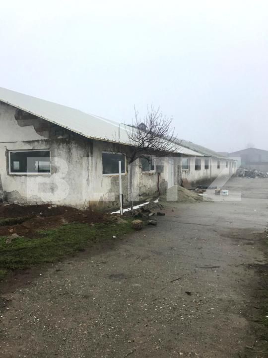 Spațiu industrial de închiriat Sud - 185751SII | BLITZ Târgoviște | Poza9