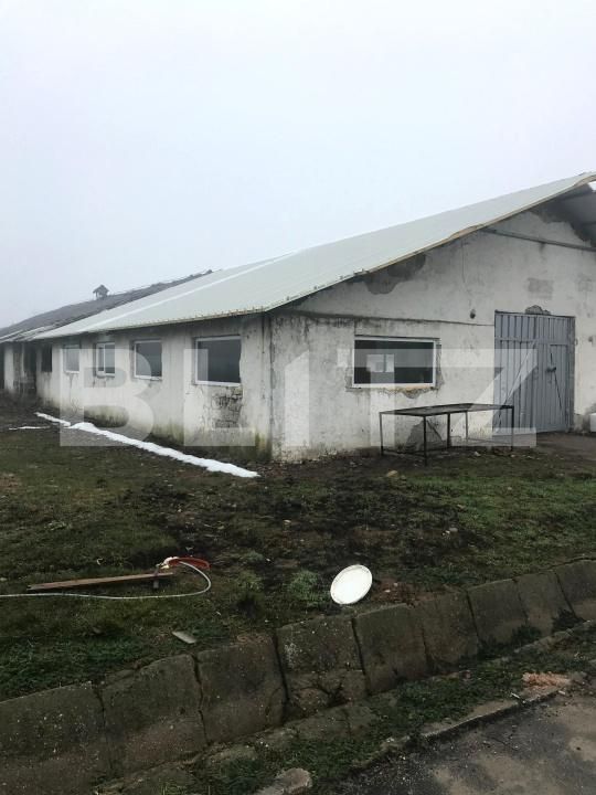 Spațiu industrial de închiriat Sud - 185751SII | BLITZ Târgoviște | Poza8