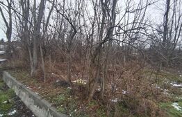  Teren intravilan 480 mp, Priseaca, jud. Dâmbovița