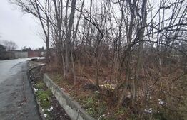  Teren intravilan 480 mp, Priseaca, jud. Dâmbovița