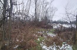  Teren intravilan 480 mp, Priseaca, jud. Dâmbovița