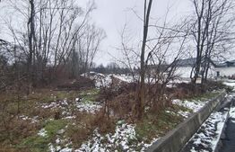  Teren intravilan 480 mp, Priseaca, jud. Dâmbovița