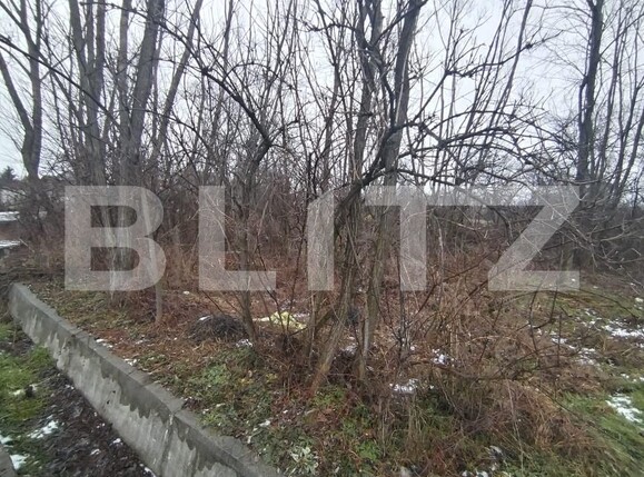 Teren de vânzare Priseaca - 185752TV | BLITZ Târgoviște | Poza3
