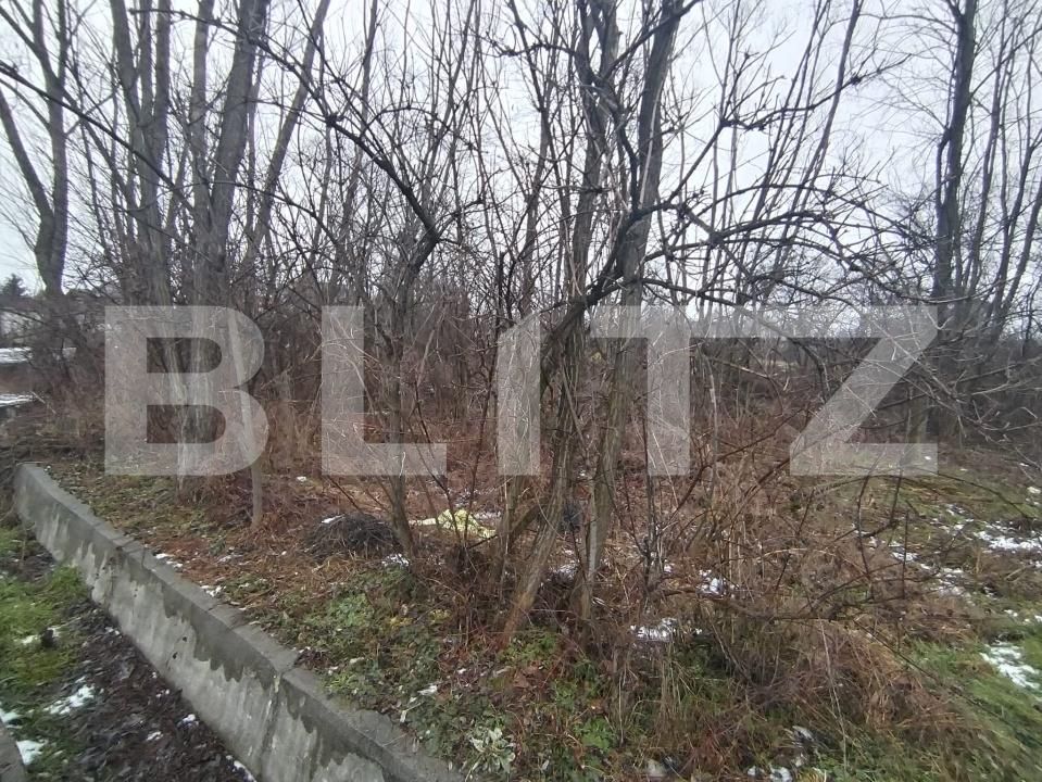 Teren de vânzare Priseaca - 185752TV | BLITZ Târgoviște | Poza3