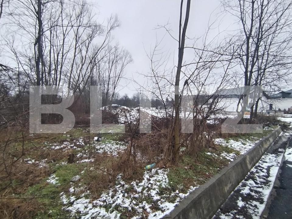 Teren de vânzare Priseaca - 185752TV | BLITZ Târgoviște | Poza4