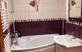 Ocazie! Se închiriază apartament în zonă centrală la preț spectaculos! Găești 