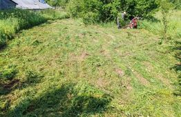 Teren intravilan 4.183 mp – Cobia, sat Mislea – ieșire la pădure