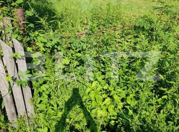 Teren de vânzare Exterior Vest - 185876TV | BLITZ Târgoviște | Poza9