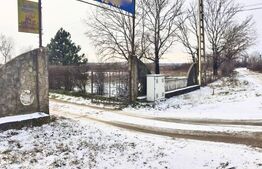 Domeniu privat, 12.500 mp teren, satul Viișoara - Târgoviște