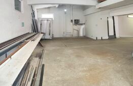 Domeniu privat, 12.500 mp teren, satul Viișoara - Târgoviște