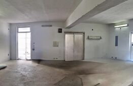 Domeniu privat, 12.500 mp teren, satul Viișoara - Târgoviște