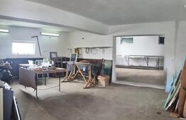 Domeniu privat, 12.500 mp teren, satul Viișoara - Târgoviște