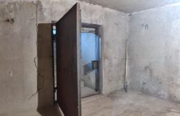 Domeniu privat, 12.500 mp teren, satul Viișoara - Târgoviște