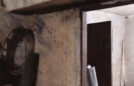 Domeniu privat, 12.500 mp teren, satul Viișoara - Târgoviște