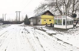 Domeniu privat, 12.500 mp teren, satul Viișoara - Târgoviște