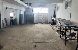 Domeniu privat, 12.500 mp teren, satul Viișoara - Târgoviște