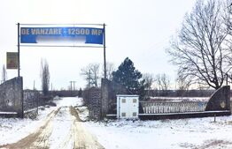 Domeniu privat, 12.500 mp teren, satul Viișoara - Târgoviște