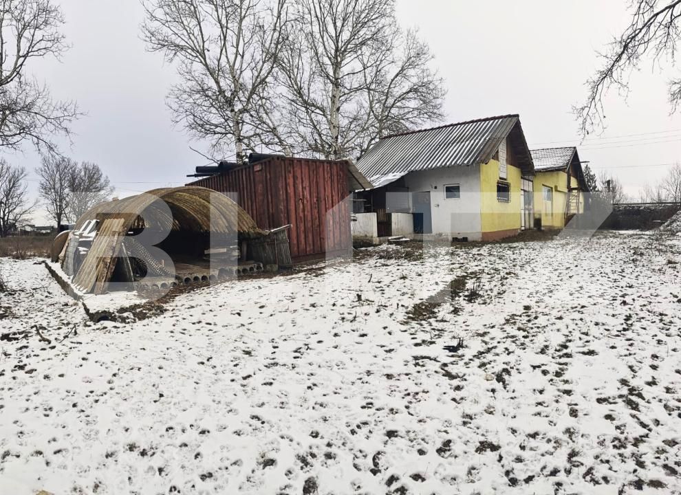 Spațiu comercial de vânzare Exterior Sud - 185989SVC | BLITZ Târgoviște | Poza25