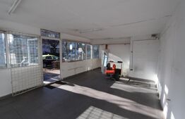 Spațiu comercial, 36 mp, zona Aleea Trandafirilor