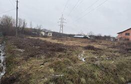 Teren intravilan, 1.049 mp, zona Priseaca