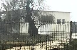 Spațiu Service Auto | Acces DN71 | 380V | Drive-In | Parcare Amplă – Târgoviște