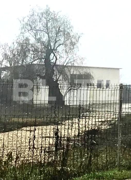 Spațiu comercial de închiriat Sud - 186257SIC | BLITZ Târgoviște | Poza2