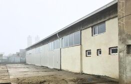 Hală Industrială Mare | 1.250 mp | Acces DN71 | Uși Industriale Mari | Târgovișt