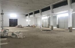 Hală Industrială Mare | 1.250 mp | Acces DN71 | Uși Industriale Mari | Târgovișt
