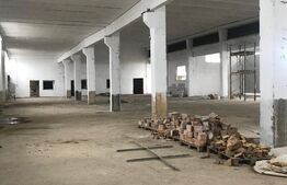 Hală Industrială Mare | 1.250 mp | Acces DN71 | Uși Industriale Mari | Târgovișt