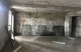 Hală Industrială Mare | 1.250 mp | Acces DN71 | Uși Industriale Mari | Târgovișt