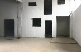 Hală Industrială Mare | 1.250 mp | Acces DN71 | Uși Industriale Mari | Târgovișt