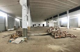 Hală Industrială Mare | 1.250 mp | Acces DN71 | Uși Industriale Mari | Târgovișt
