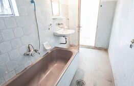 Gospodărie Completă, 130 mp, 1.300 mp Teren,  Doicești