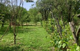 Gospodărie Completă, 130 mp, 1.300 mp Teren,  Doicești