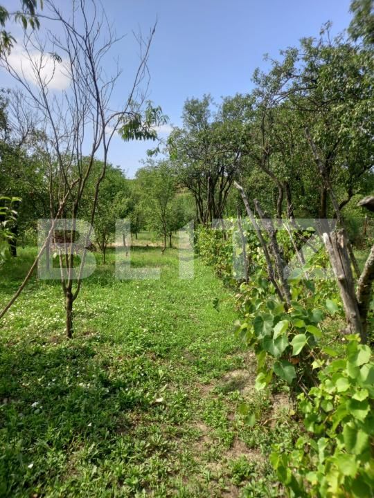 Casa de vânzare 4 camere Exterior Nord - 186305CV | BLITZ Târgoviște | Poza11