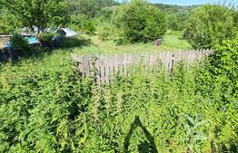 Teren intravilan, 1049 mp – Cobia, sat Mislea – ieșire la pădure